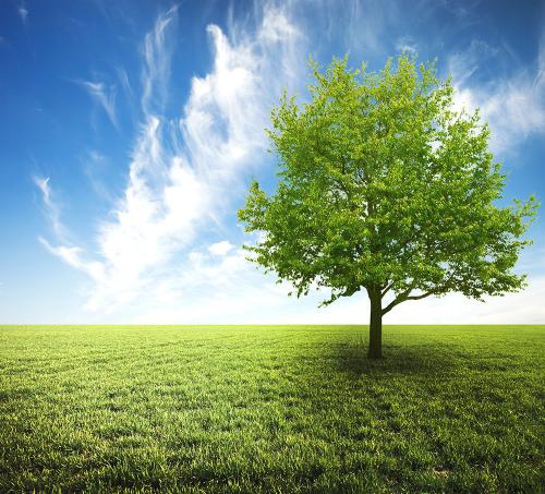 与母亲2的快乐句子