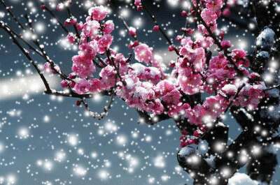 二十四节气和大雪图片和经文2