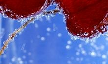 与母亲开心的句子