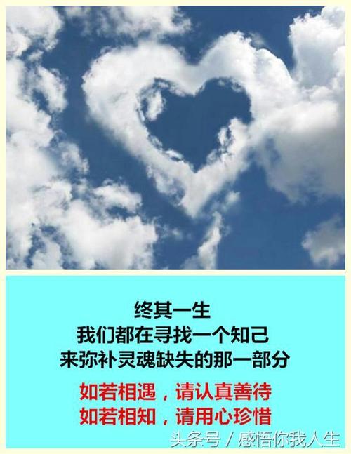 品味人生的名言