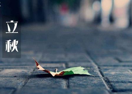 立秋早安谈话片刻