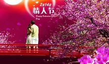 写给最爱的人的情人节蜜语