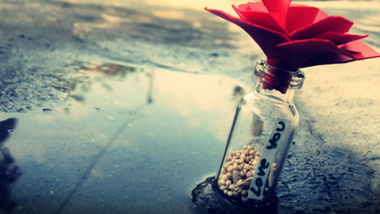 用来形容与姐妹见面快乐的句子1