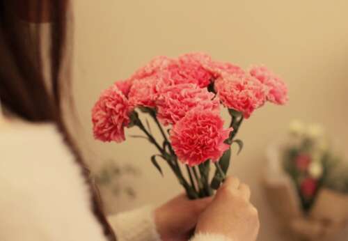 感恩节的轰动性声明,感恩节朋友的简短副本