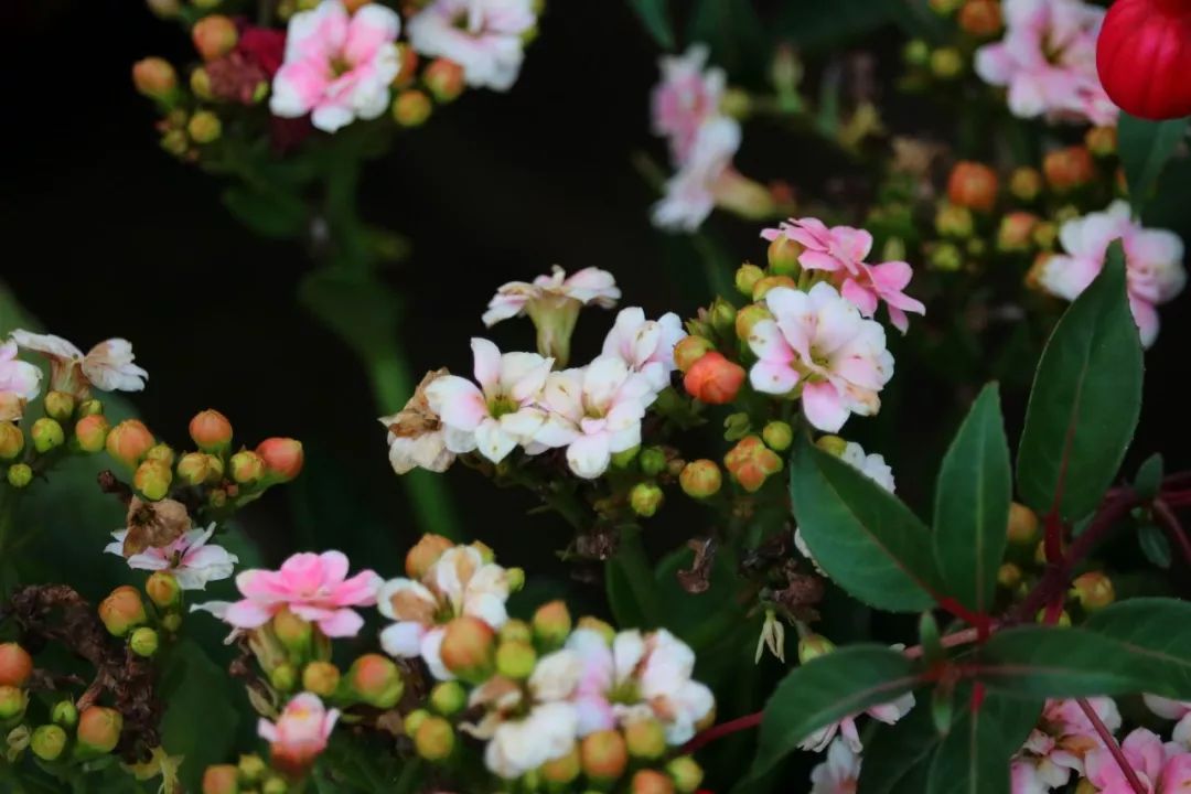 谢谢你认识一个好老板。谢谢您的诚意。 2