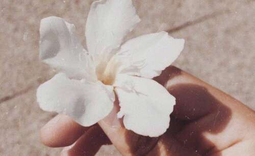 温暖的心疗正能量句