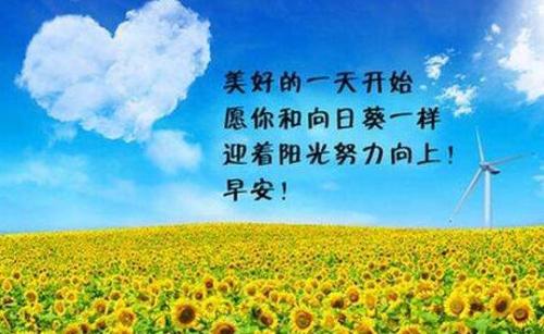 带有图片2的快乐句子