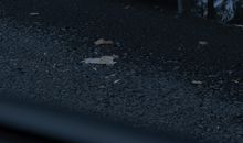 句句心痛，越看越难过