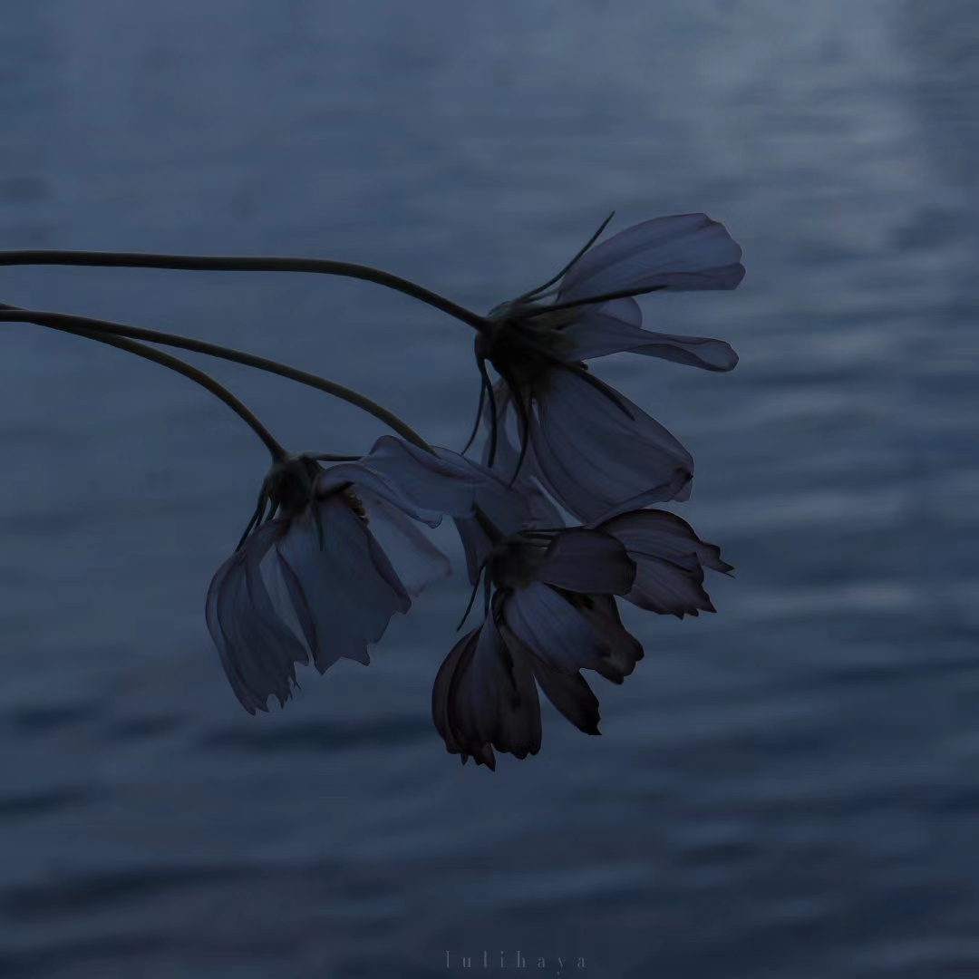 分句,每句话oke心1