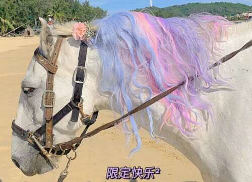 2020年坚持不懈的励志句子最热门的励志句子2