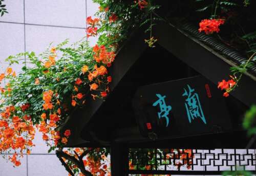 秋季浪漫美丽句子2