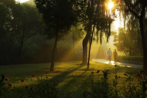 阳光明媚的美丽句子2