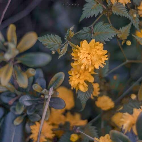 励志名人行情早安1