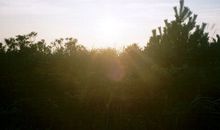 形容天气热但是玩的开心的句子