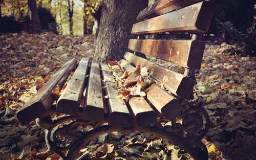 过去2句美丽的短句