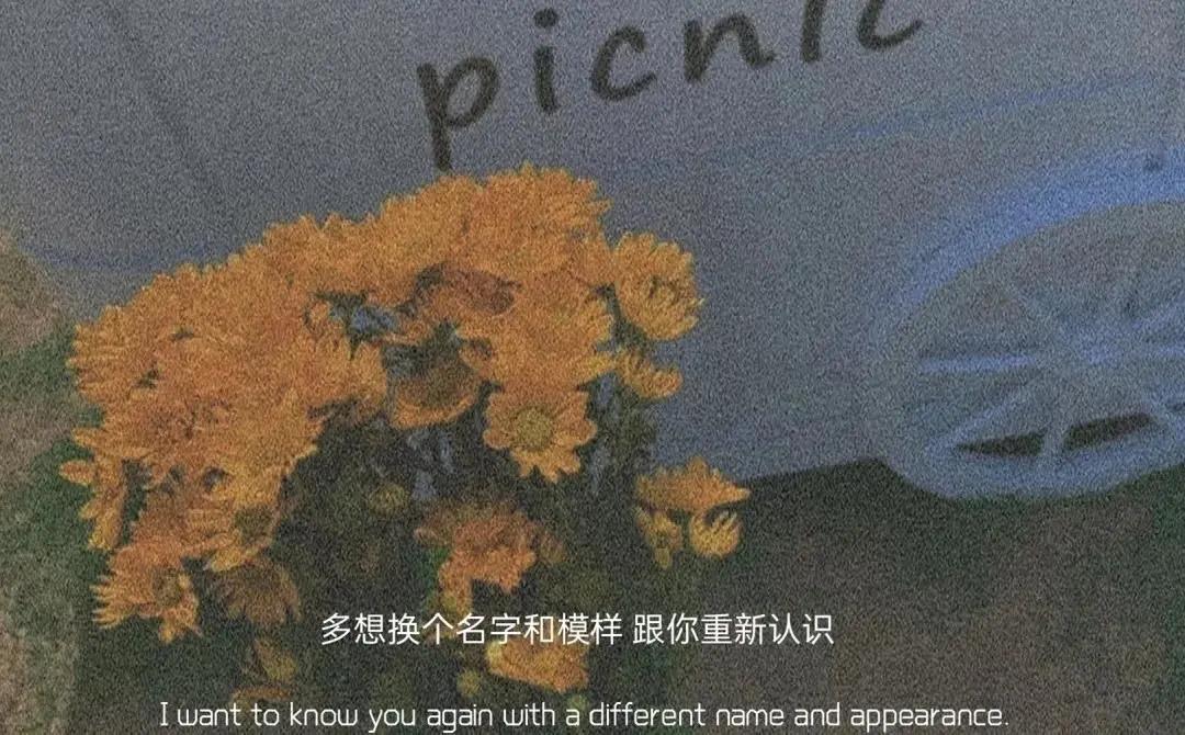 深夜行情经典行情