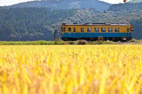 描述快乐姐妹回家旅行的句子