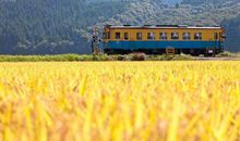 形容姐妹们旅游回家开心的句子