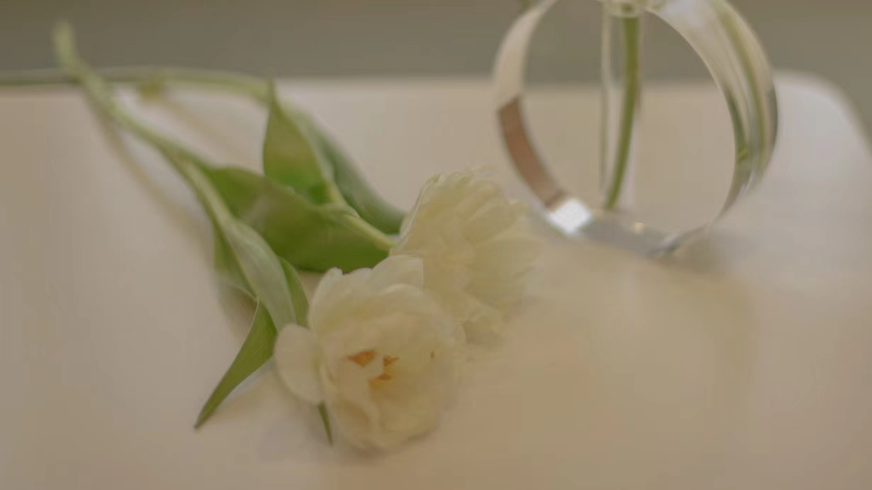 描绘美丽的雪的诗1