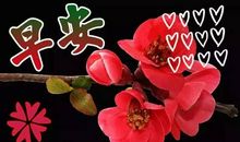 清晨祝福语正能量语