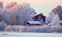 冬至节气的谚语