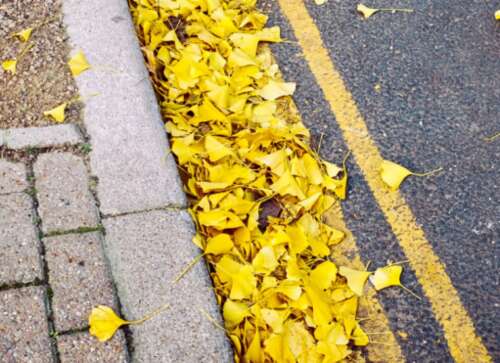 适合天气寒冷的句子,天气寒冷时的可爱文案