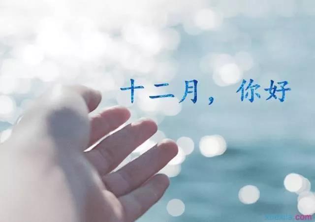 关于十二月复制图片2
