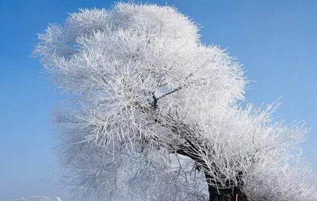 冬至句子，简短的句子，漂亮2