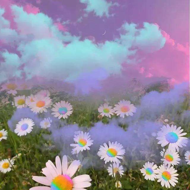 杀死马特最经典的句子