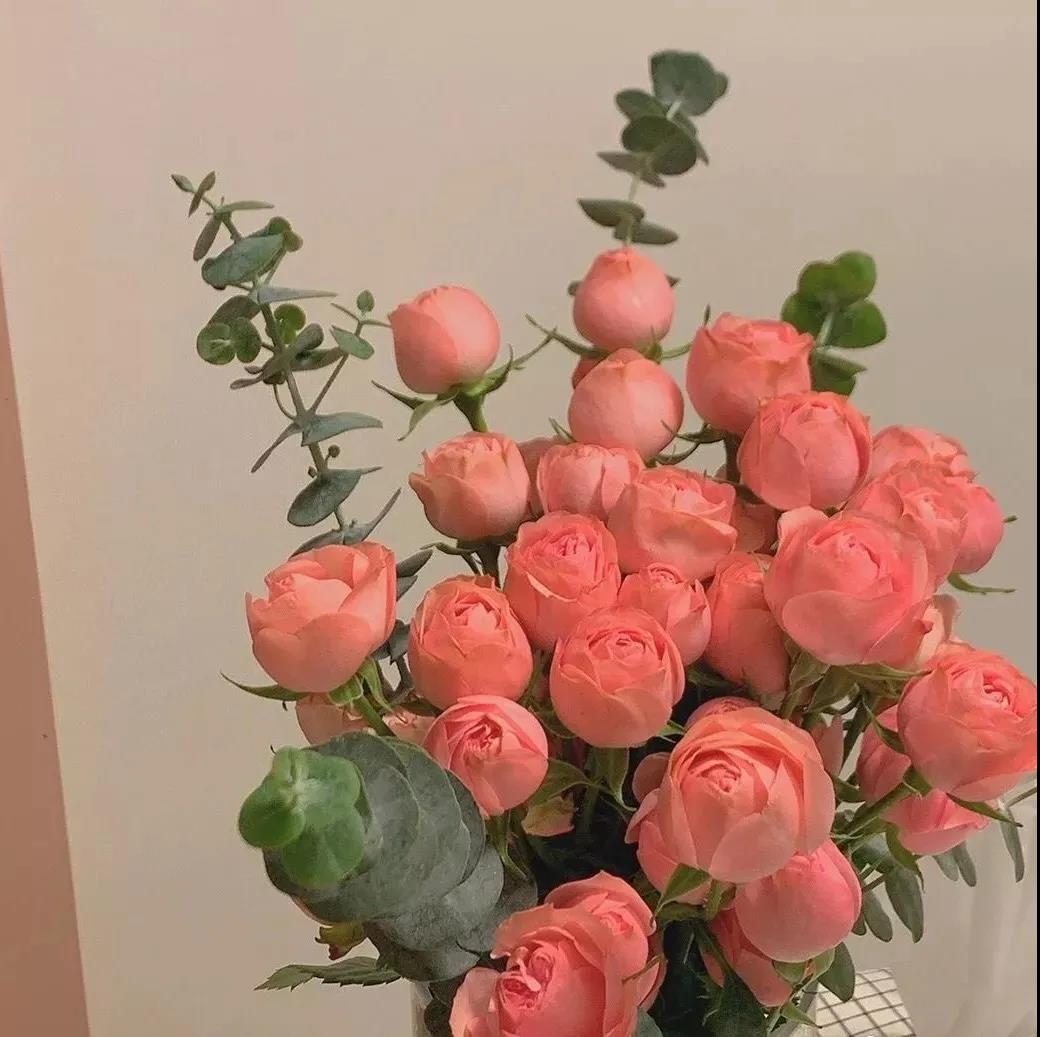 最经典的杀人马特句子2