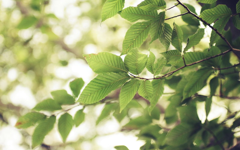 美丽的句子，充满童心