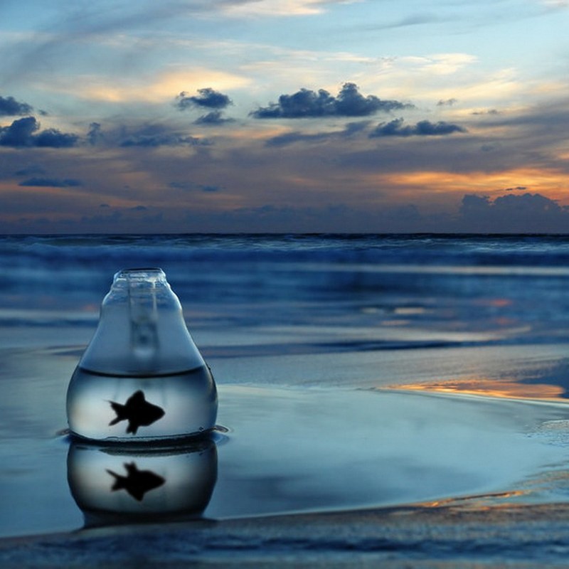 美丽的句子，带有纯真的童心2