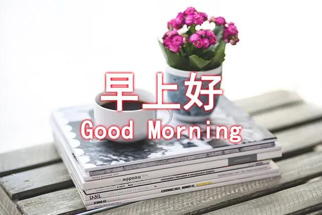 每天早上好句子1
