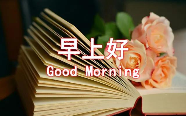 每天早上好句子2