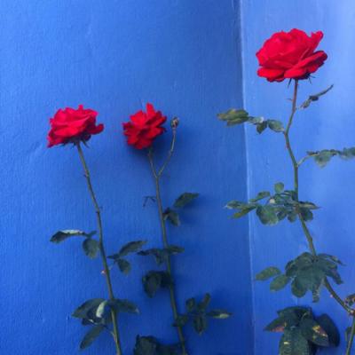 生活中的哲学句子2