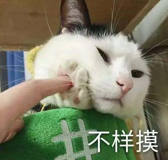 加班狗搞笑文案,总有这么一个星期不想工作2