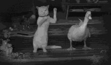 加班狗搞笑文案 一个星期总有那么七天不想上班