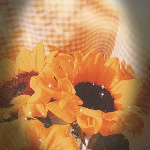 励志短句结识朋友圈2