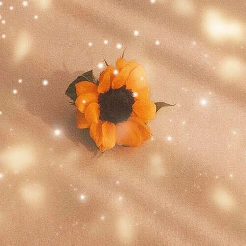 励志短句结识朋友圈1