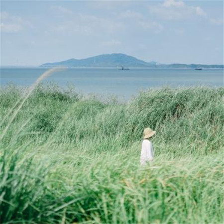 孤独的爱情句子