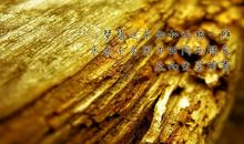 女孩子励志的句子