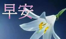 早上朋友圈一句励志问候语