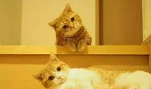 2020最新早安心语