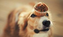 自律优美的句子