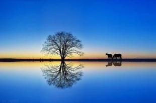 第1个月的漂亮句子