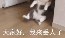 搞笑又心酸的自黑句子 文案