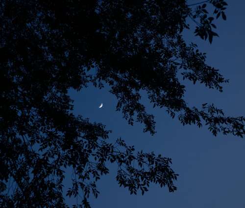 祝英语快乐快乐