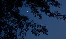 愿开心快乐的句子英语