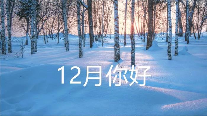 你好12月谈话2