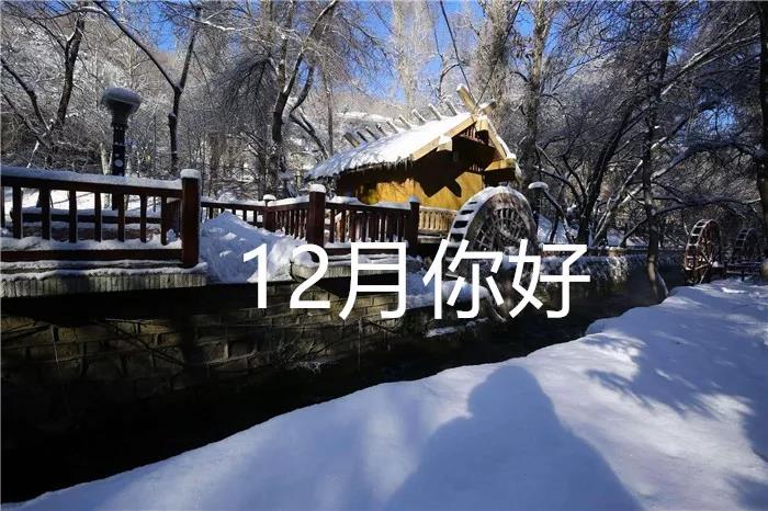 你好十二月的美丽句子和图片1